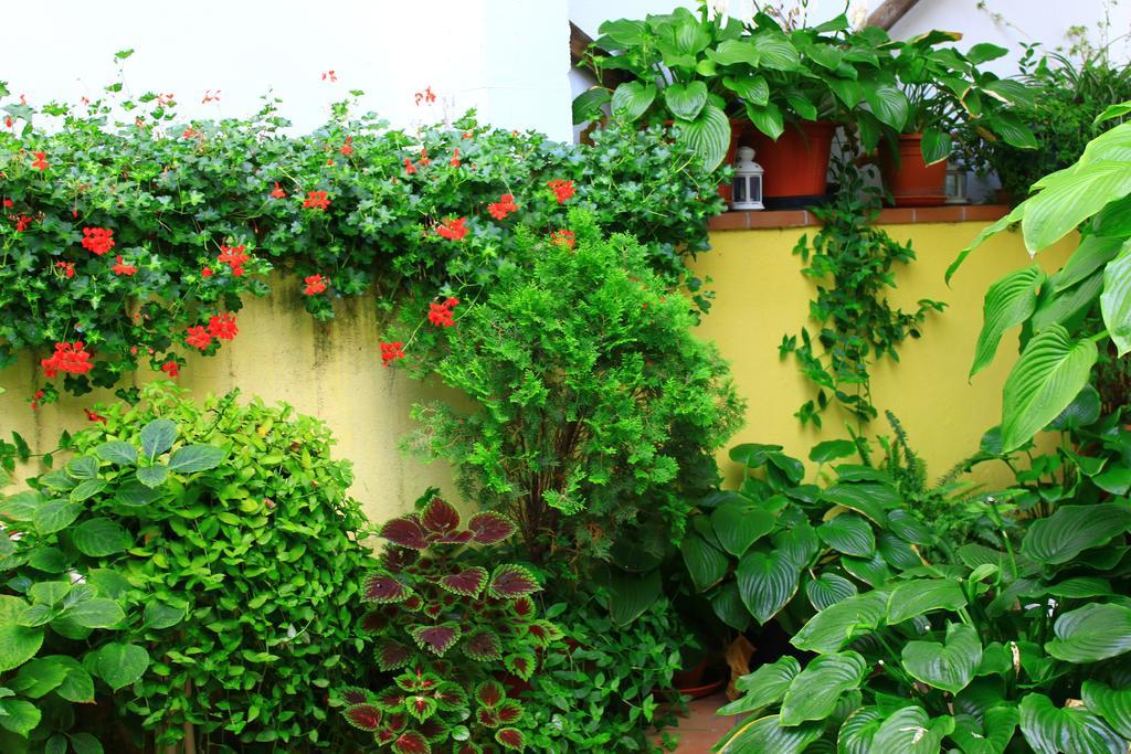 Sabiñánigo Hostal Escartin מראה חיצוני תמונה