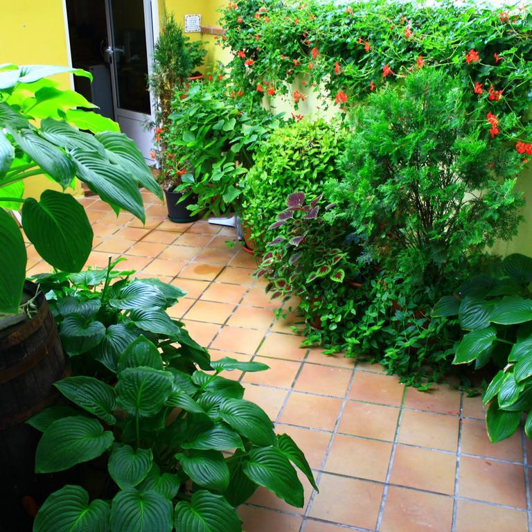 Sabiñánigo Hostal Escartin מראה חיצוני תמונה