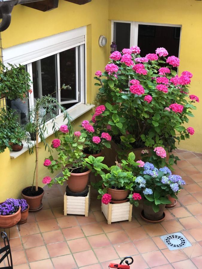 Sabiñánigo Hostal Escartin מראה חיצוני תמונה